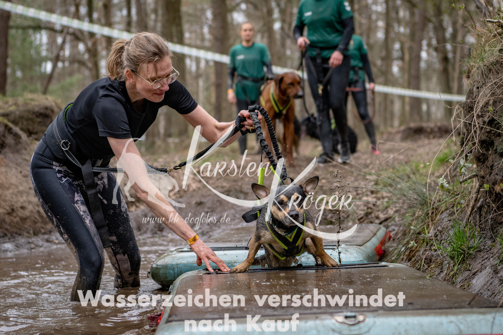 1225DSC_6240-2 | kk-dogfotos