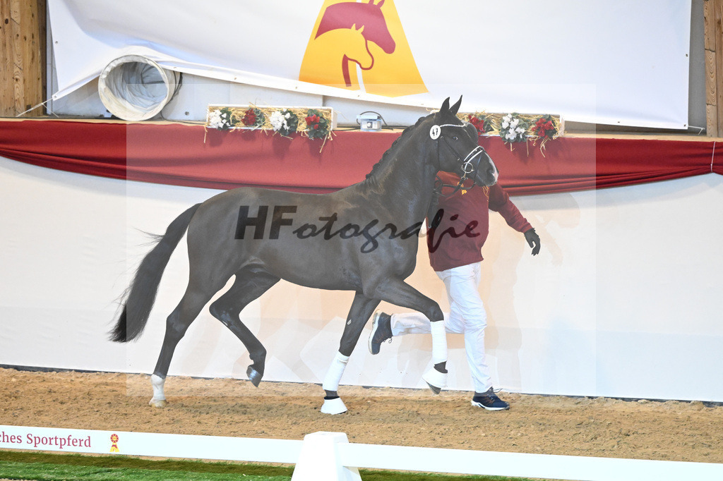 Kat-Nr. 47 Escamillo_Nowak Sonnenbrink GmbH_1230157 | hf-fotografie - Realisiert mit Pictrs.com