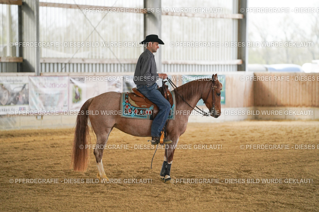 DSC08167 | Pferdegrafie