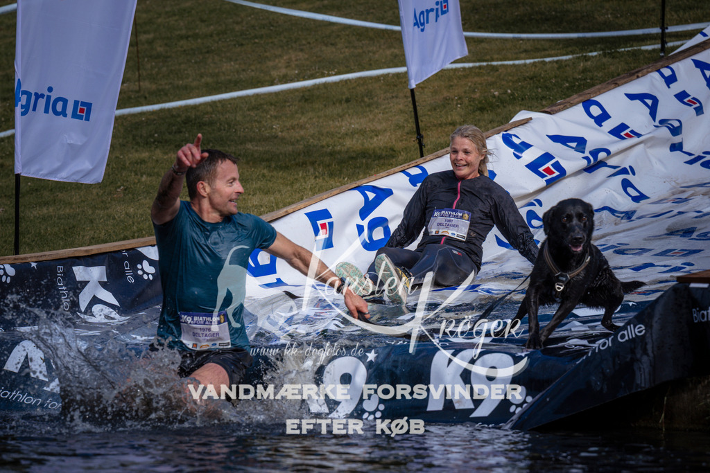 _ZZ986590806 | kk-dogfotos