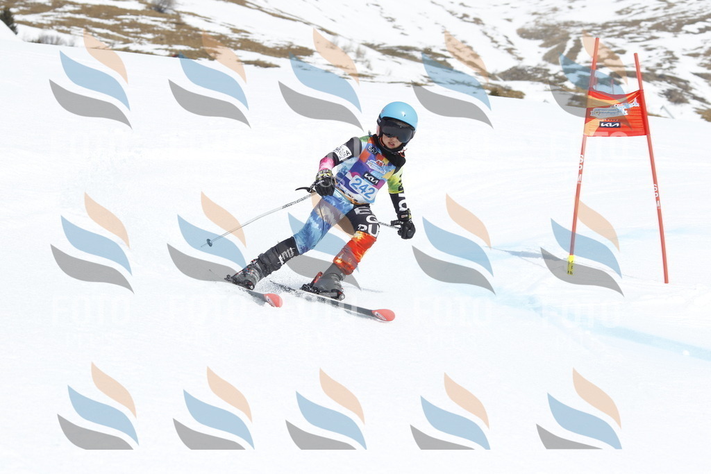 _U3G2731 | holidayphoto