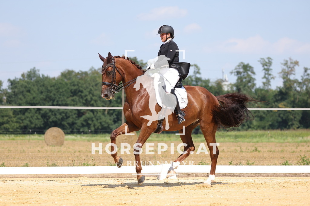 0P6A7382 | Willkommen bei Brunnmayr - Design & Fotografie – Ihrem Spezialisten für Reitturniere und Pferdeveranstaltungen in Oberösterreich, Salzburg und Bayern! Seit über 17 Jahren sind wir leidenschaftlich dabei.