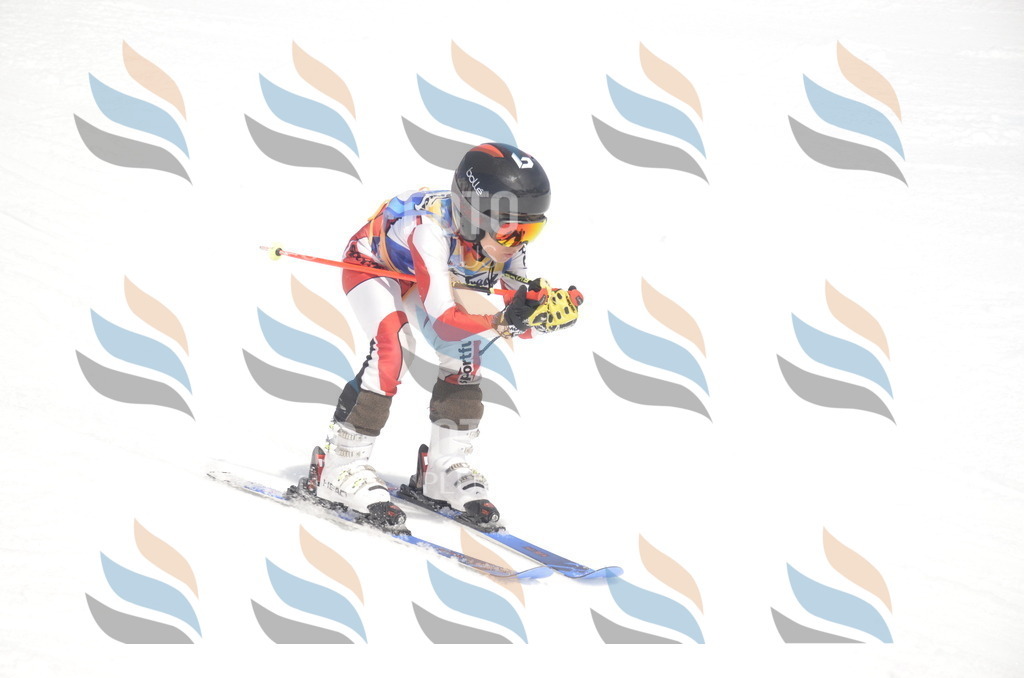 _ELE9044 | holidayphoto