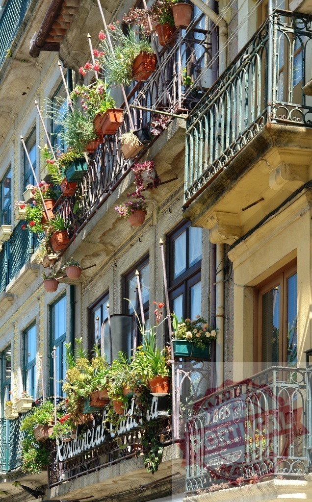 Balconies adorned with vibrant flowers Porto Portugal | Building facade featuring balconies blooming with colorful potted plants and flowers - Realized with Pictrs.com