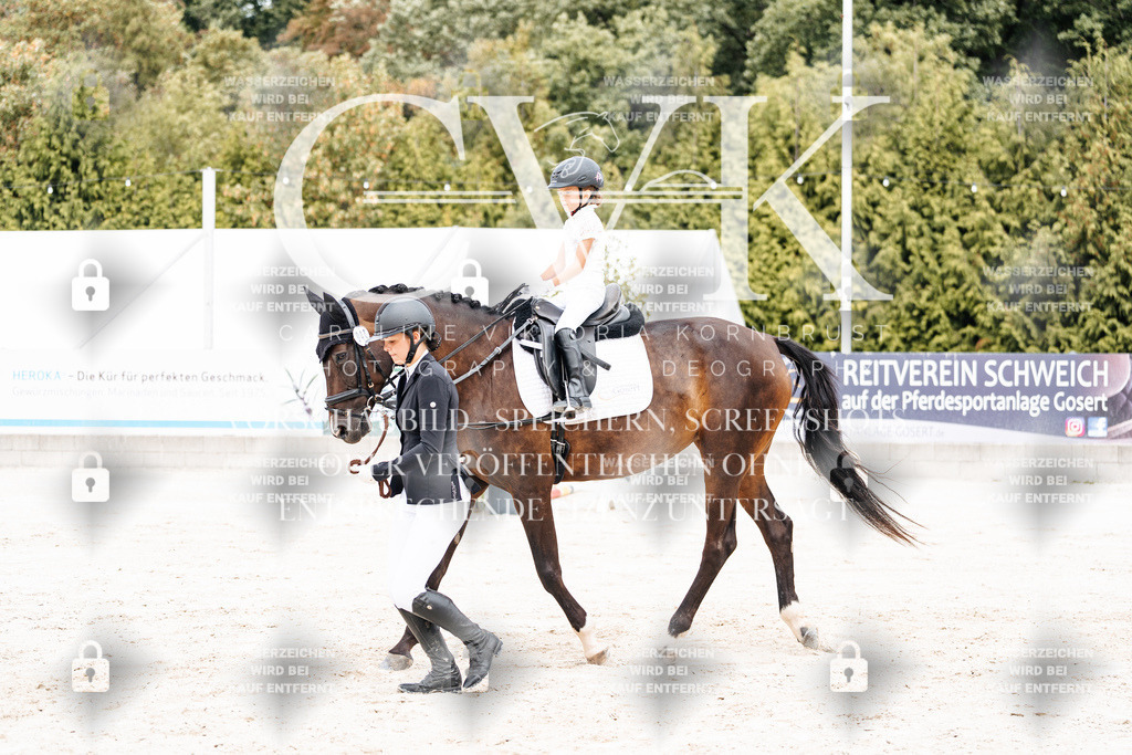 CK907039 | Turnierfotografie Pferdefotografie Trier Rheinland-Pfalz Pferdesport Reitsport Tierfotografie Sportfotografie Pferdevideo Pferdevideografie Equestrianvideography equestrianphotography  - Realisiert mit Pictrs.com