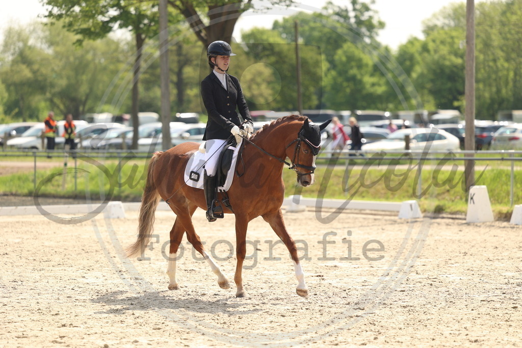 994A6727 | sabrinanicolaifotografie - Realisiert mit Pictrs.com