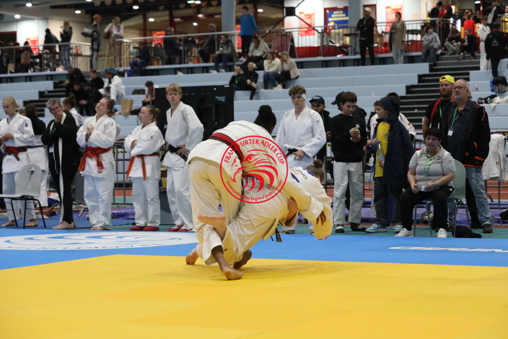 1J7A2597 | Fotos vom Adler Cup - Pictures from Adler Cup

Hier findet Ihr alle Eindrücke und großen Momente der Adler Cup Wochenenden. Here you will find all impressions and great moments of the Adler Cup weekends. - Realisiert mit Pictrs.com