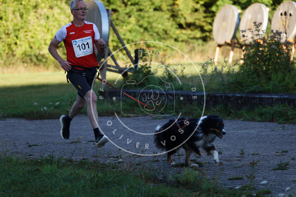 0L8A4675 | Hundefotografie, Tierfotograf, Pfotenfotografie, Fotoshooting Hund, Hunde Portrait, Hundesport, Hundeportraits, Heideshooting, Hunde, Sportfotograf, Hundefotograf, Turnierhundsport, THS,  - Realisiert mit Pictrs.com