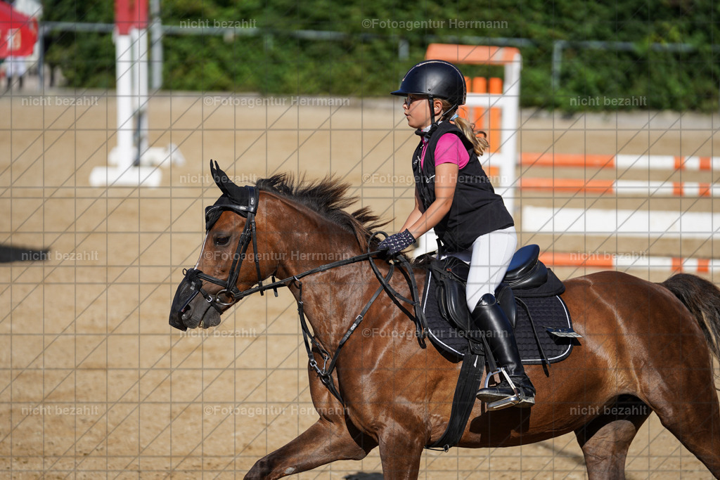 20240824-FAH07343 | Thierhaupten 2024, Bayerisches Landesponyturnier, Turnierbilder, Ponybilder, Turnierfotografen Bayern, Fotoagentur Herrmann