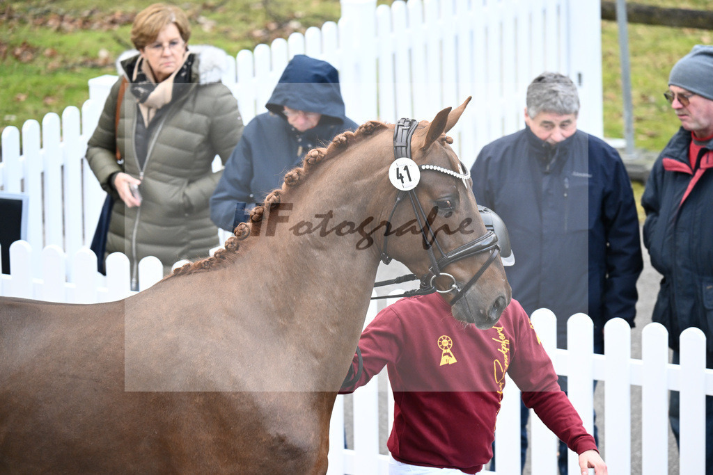 Impressionen Harter Boden_2240051 | hf-fotografie - Realisiert mit Pictrs.com