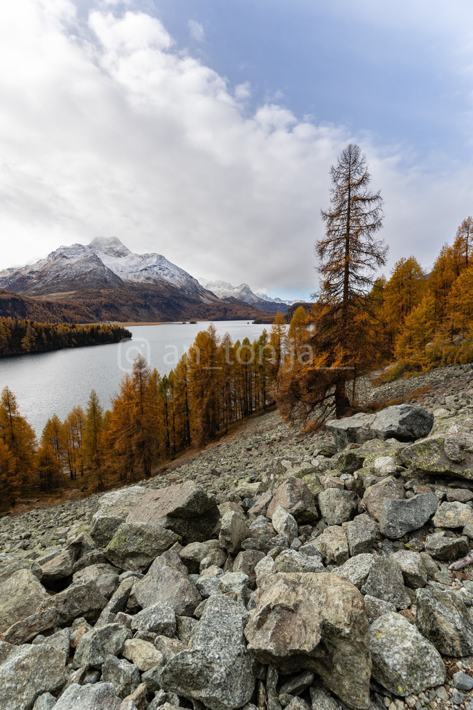 JB3A5688 | antonija-trupina - Realisiert mit Pictrs.com