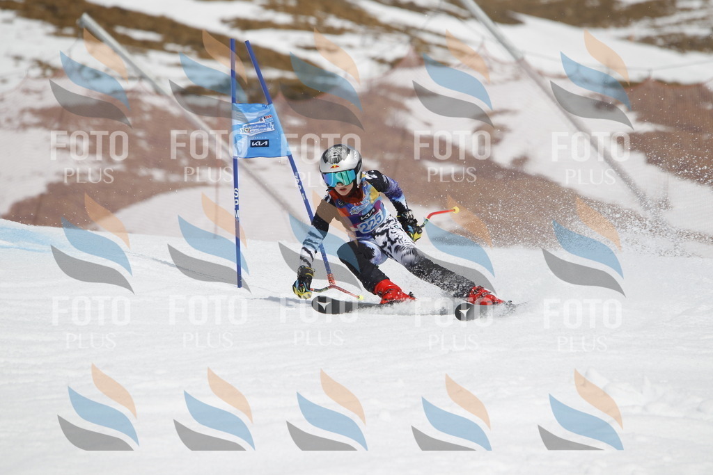 _U3G2456 | holidayphoto