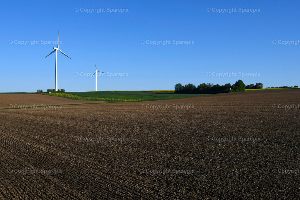 CAR_Agri_Spring_Field2 | Camera height 1,30m - light 4/25° - Realisiert mit Pictrs.com