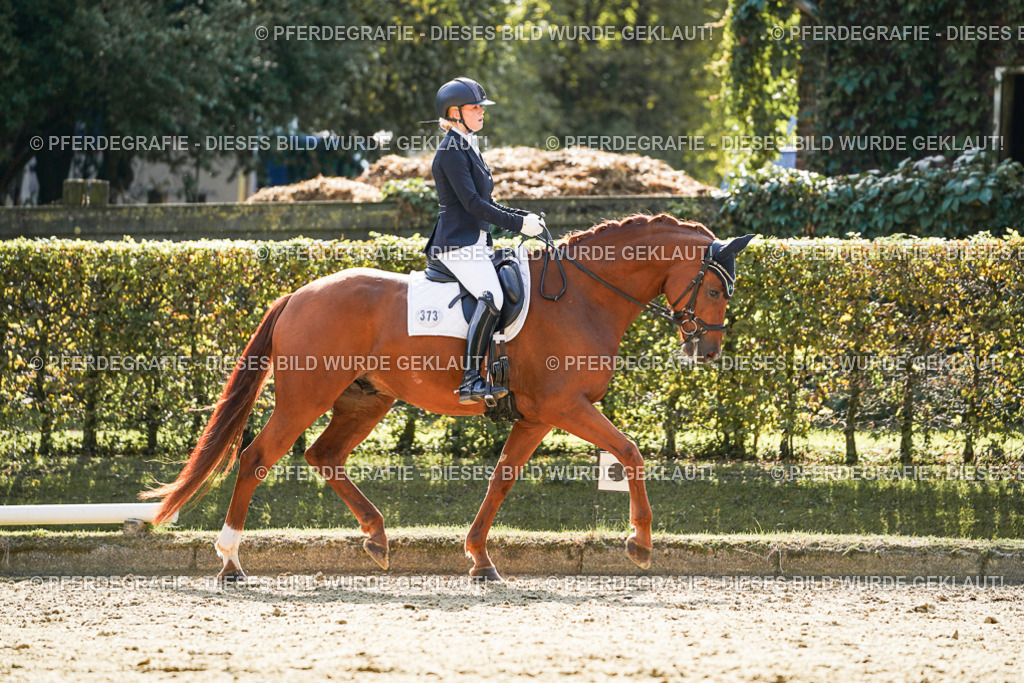 DSC07417 | Pferdegrafie