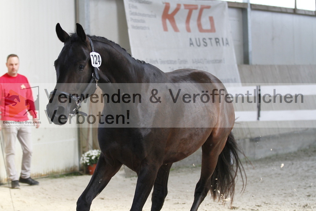 _MG_9713 | equestrian-live-com