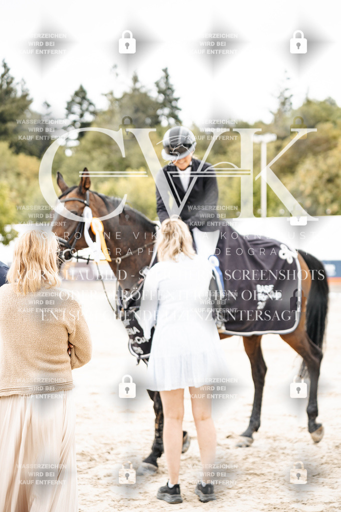 CK704877 | Turnierfotografie Pferdefotografie Trier Rheinland-Pfalz Pferdesport Reitsport Tierfotografie Sportfotografie Pferdevideo Pferdevideografie Equestrianvideography equestrianphotography  - Realisiert mit Pictrs.com