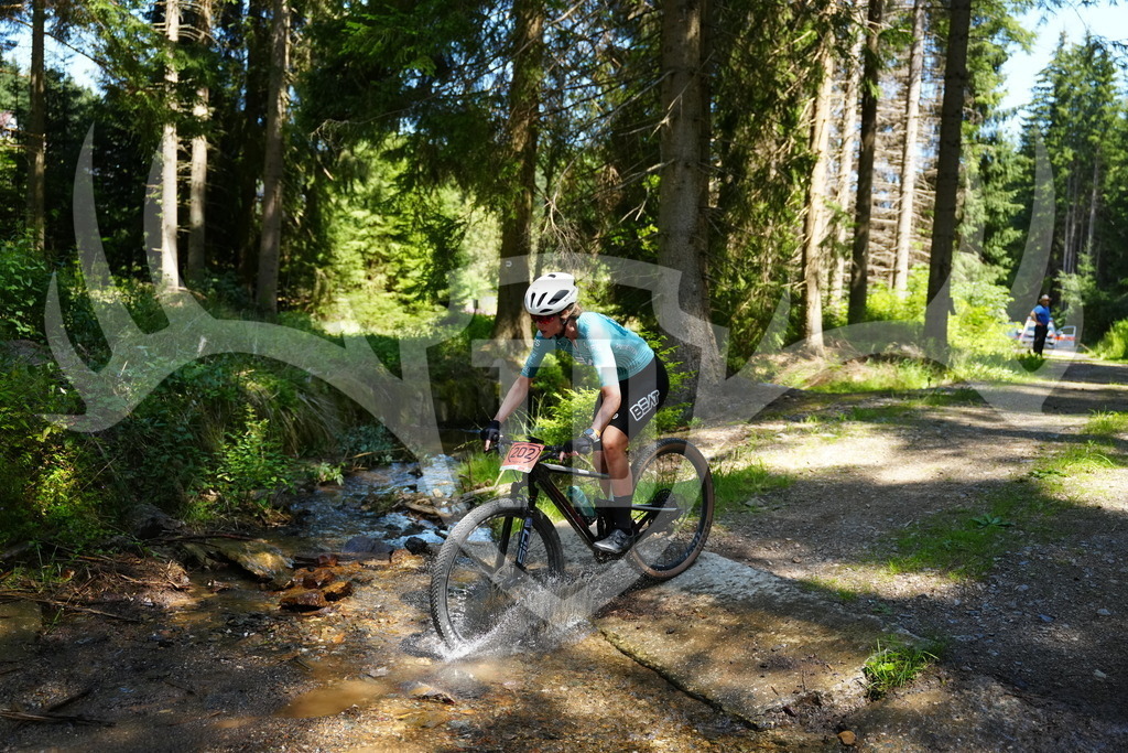 FC101777 | Fotogalerie der Treibjagd im Dunkelwald - Dein MTB Etappenrennen im Erzgebirge - Realisiert mit Pictrs.com