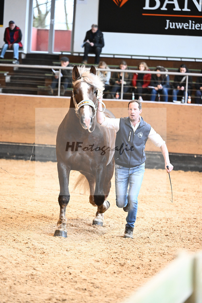 Kat-Nr. 6 v. Versailles_Poenn_6240055 | hf-fotografie - Realisiert mit Pictrs.com