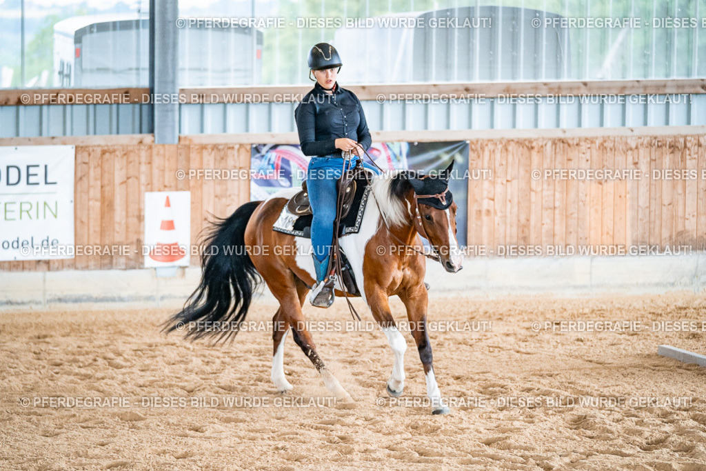 DSC09802 | Pferdegrafie