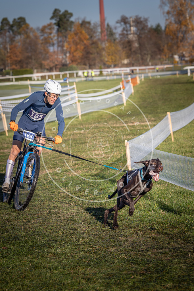 CaniXpix_0L8A4258 | Hundefotografie, Tierfotograf, Pfotenfotografie, Fotoshooting Hund, Hunde Portrait, Hundesport, Hundeportraits, Heideshooting, Hunde, Sportfotograf, Hundefotograf, Turnierhundsport, THS,  - Realisiert mit Pictrs.com