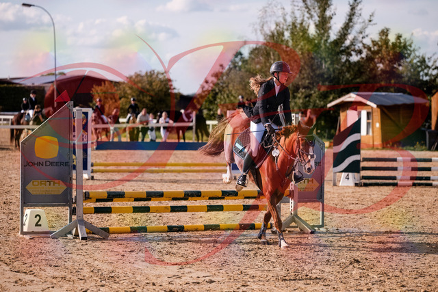 2026_10_03_Siefer-Hof_155750_Z81_77461812 | Professionelle Reitsport-, Turnier- und Eventfotografie von Robert Broda. Galerien mit ausgewählten und bearbeiteten Bildern direkt online ansehen und bestellen.