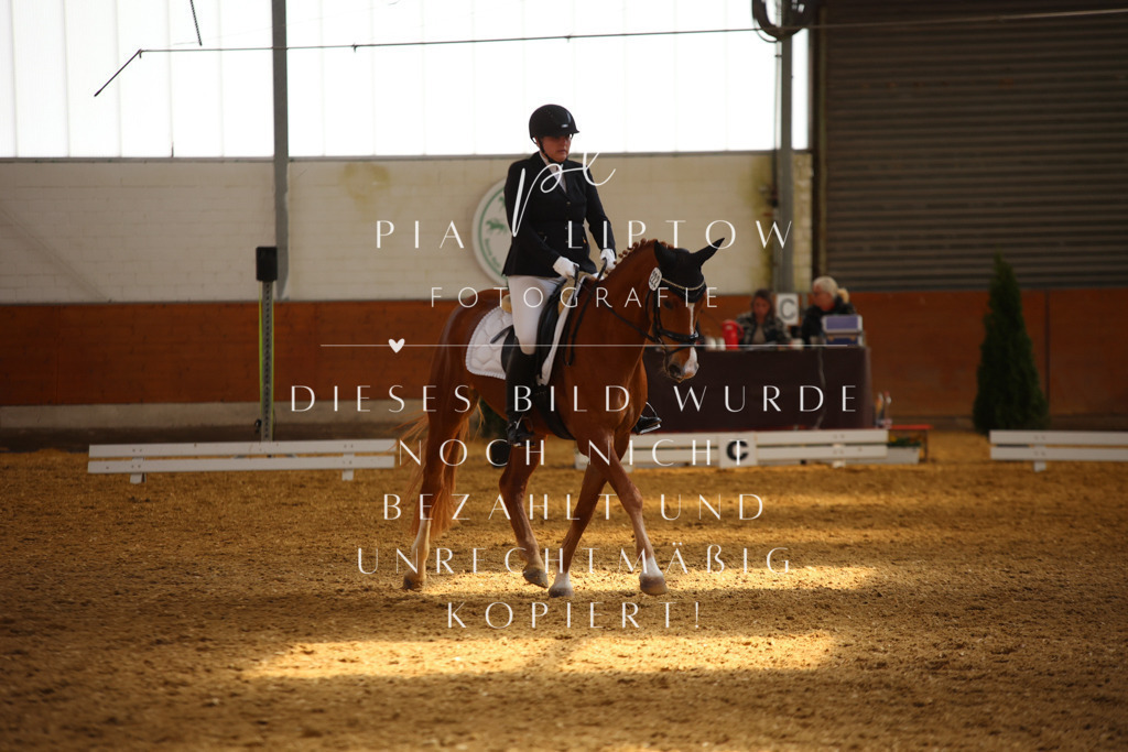 IMGT4721 | pl-fotografie