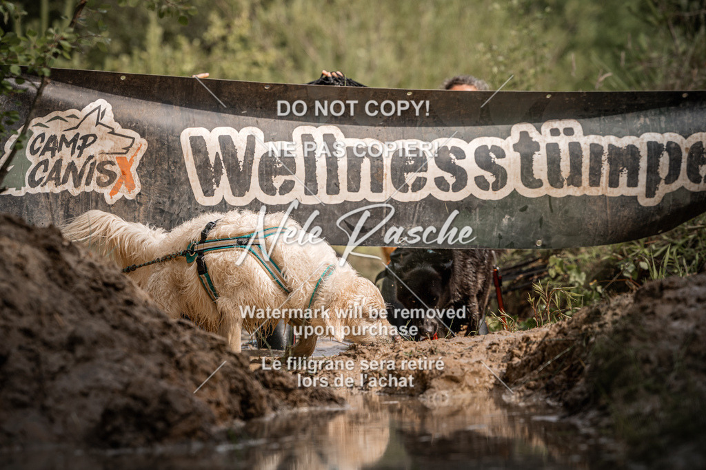 nelerasche_Hoope2026_Sa10-1030_123 | nelerasche