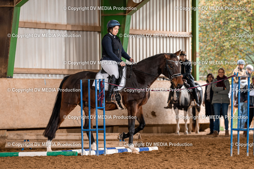 Balingen Tag 1-200 | dv-media-shop - Realisiert mit Pictrs.com