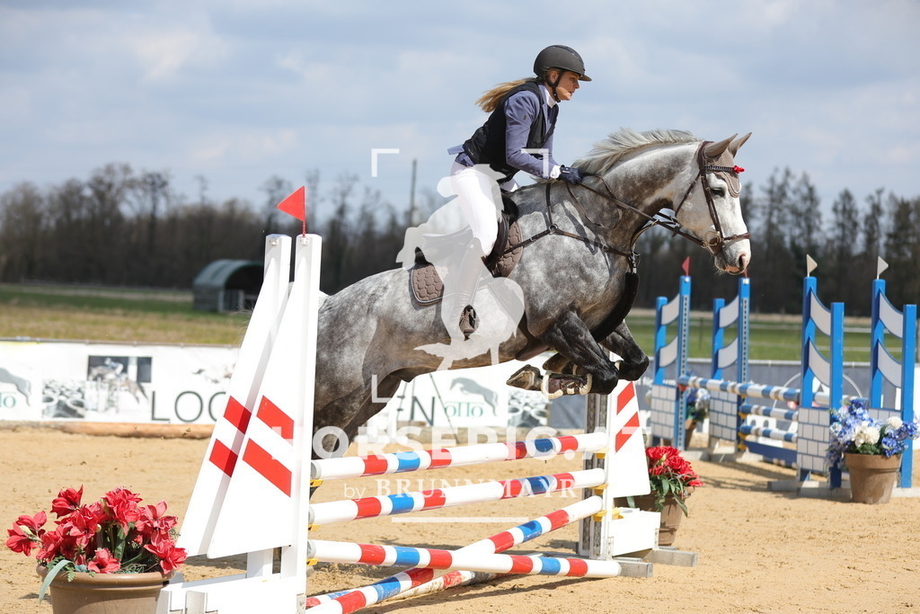 0P6A7507 | Willkommen bei Brunnmayr - Design & Fotografie – Ihrem Spezialisten für Reitturniere und Pferdeveranstaltungen in Oberösterreich, Salzburg und Bayern! Seit über 17 Jahren sind wir leidenschaftlich dabei.