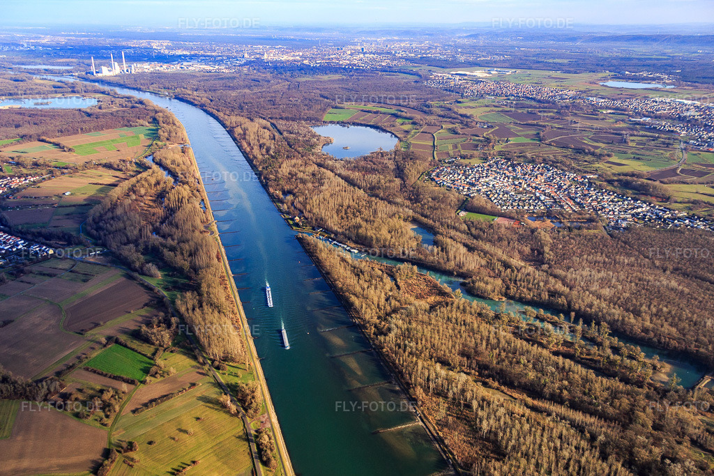 Luftbild: Verlauf des Rhein an der Mündung des Auer Althrein in Au am Rhein im Bundesland Baden-Württemberg in Deutschland. Foto: IMG_085495.jpg vom 24.12.2015 durch Werner Riehm/FLY-FOTO.de