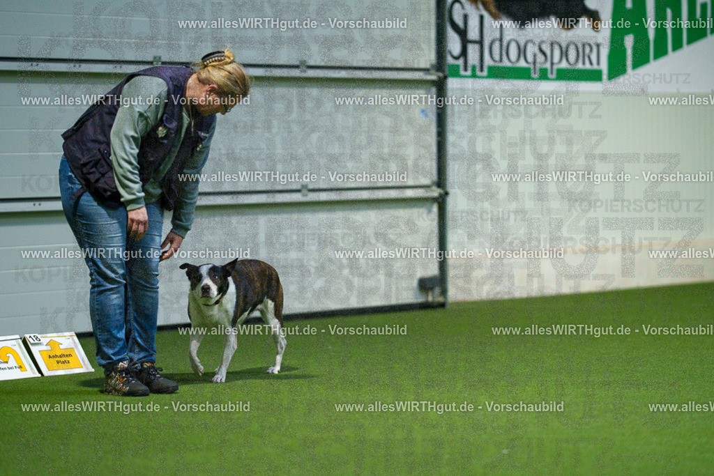 7R509837 | Professionelle Tierfotografie in Mönchengladbach von Daniel Wirth (allesWIRTHgut). Liebevolle & natürliche Bilder von Hunden & Katzen für unvergessliche Erinnerungen.