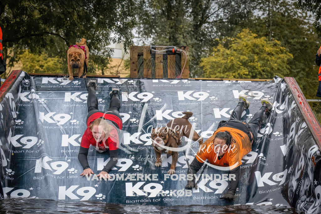 1237_ZZ90314 | kk-dogfotos