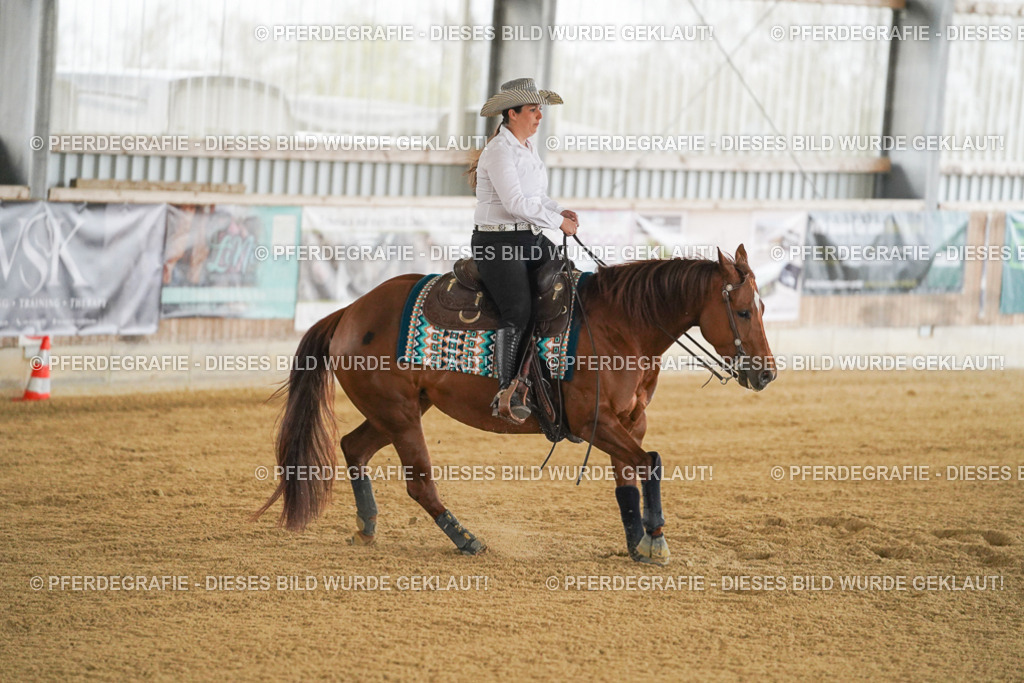 DSC07864 | Pferdegrafie