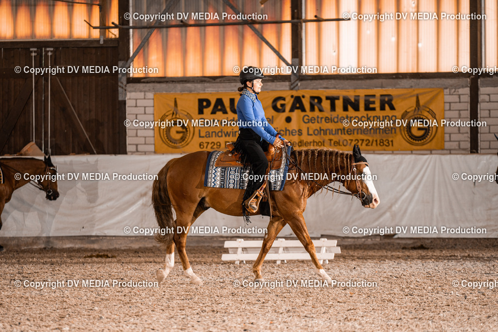 ZH200356 | dv-media-shop - Realisiert mit Pictrs.com