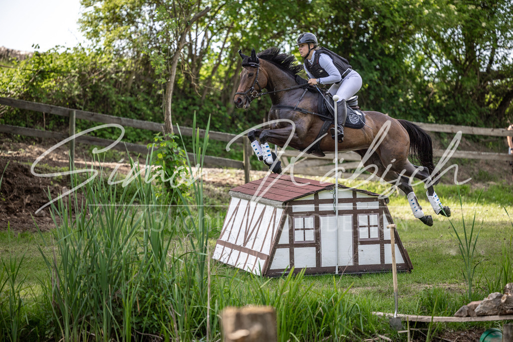 20260523-_3LI9272 | Tierfotografie Pferde, Hunde, Katzen, Haustiere.
Turnierfotografie Reitturniere, Reiten, Springreiten, Dressur in Hanau, dem Main-Kinzig-Kreis und dem Rhein-Main- Gebiet um Frankfurt