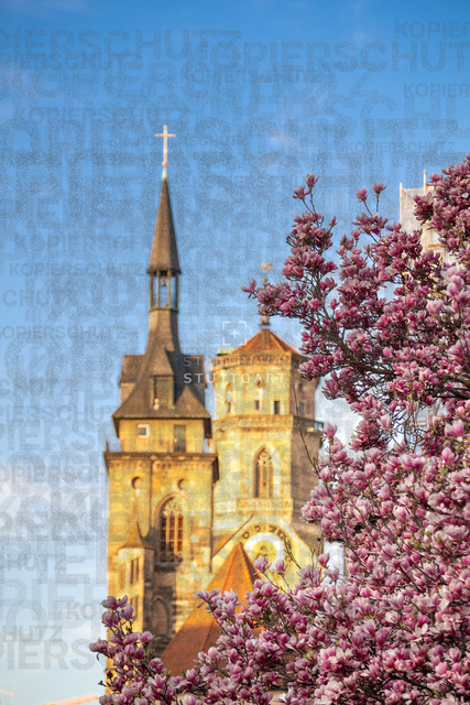 _DSF0998 | "Entdecken Sie atemberaubende Bilder von Stuttgart im Fotowerk Stuttgart! Kaufen Sie hochwertige Fotos auf Leinwand oder laden Sie digitale Downloads für Ihre Wohnung oder Büros herunter.  - Realisiert mit Pictrs.com