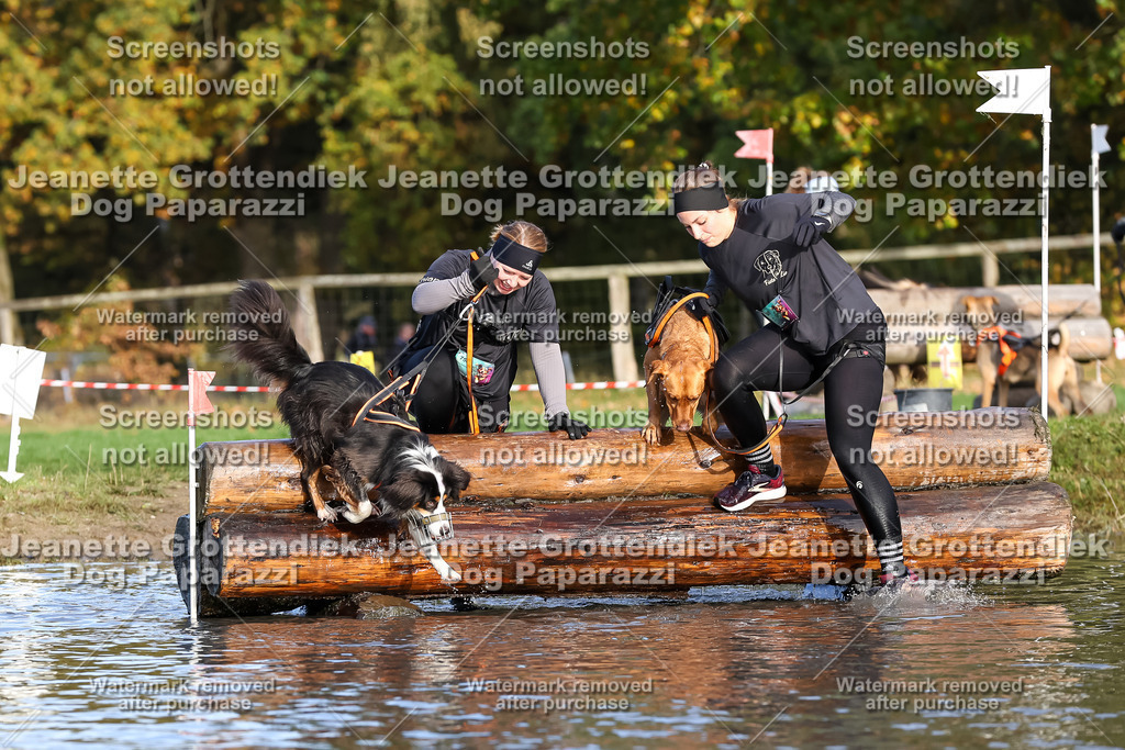 Dog Paparazzi - Strongdog 10-25-8405 | Dog Paparazzi Jeanette Grottendiek Fotografie & Videografie - Realisiert mit Pictrs.com