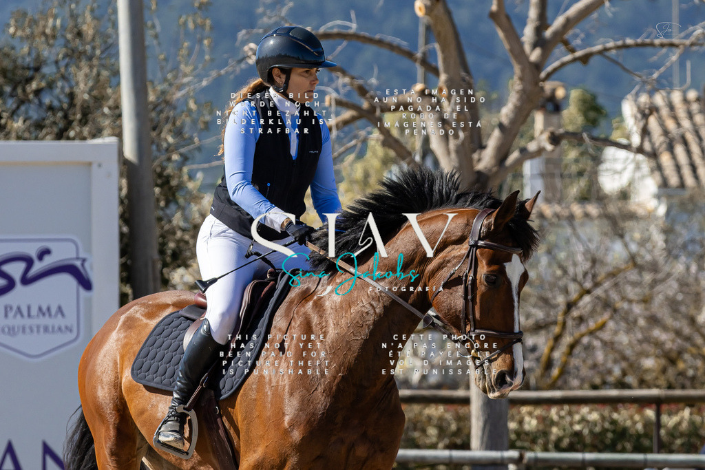 IMG_0523 | s-jay-photography - Realisiert mit Pictrs.com