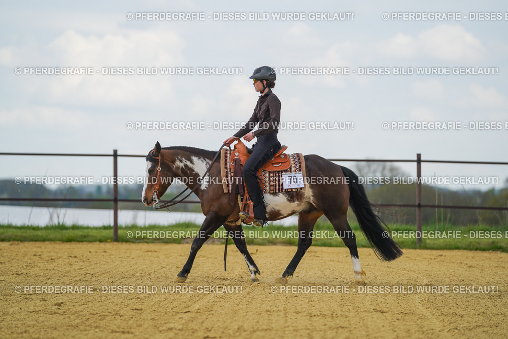 DSC06203 | Pferdegrafie