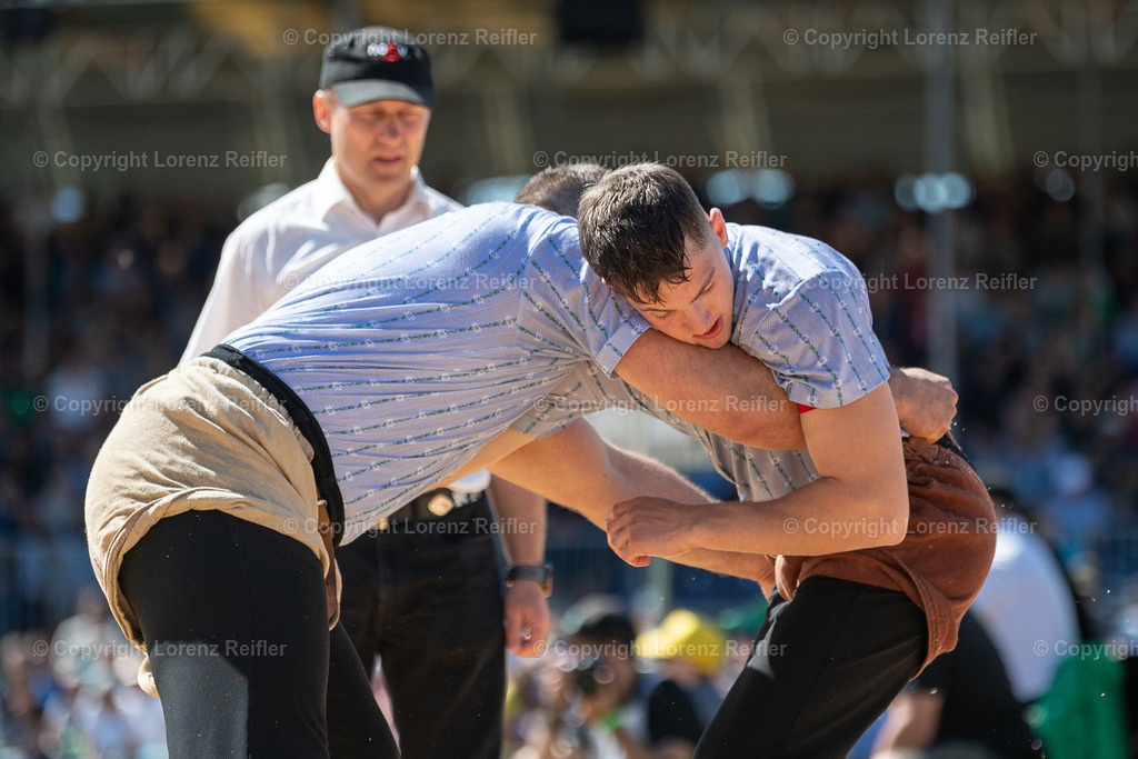 Schwingen -  St.Galler Kantonal 2024 | Grabs, 26.5.24, Schwingen - St.Galler Kantonal.