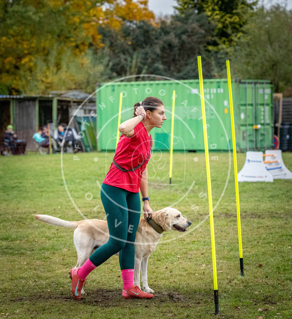 Pfotenfotografie_DV3A1330 | Hundefotografie, Tierfotograf, Pfotenfotografie, Fotoshooting Hund, Hunde Portrait, Hundesport, Hundeportraits, Heideshooting, Hunde, Sportfotograf, Hundefotograf, Turnierhundsport, THS,  - Realisiert mit Pictrs.com