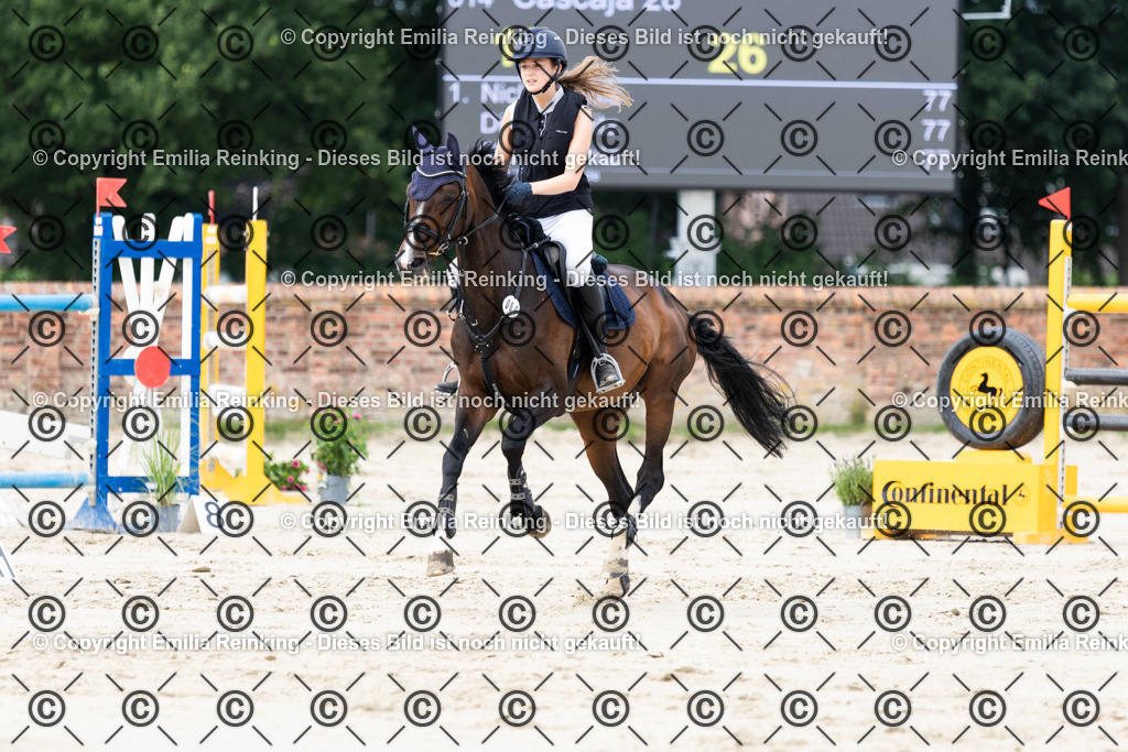 CL5A8015 | Emilia Reinking Fotografie - Realisiert mit Pictrs.com