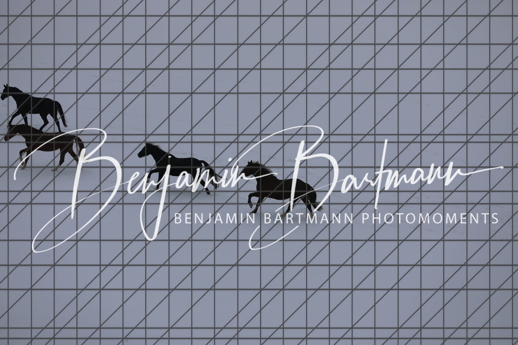 AZ2A3420 | Benjamin Bartmann Photomoments