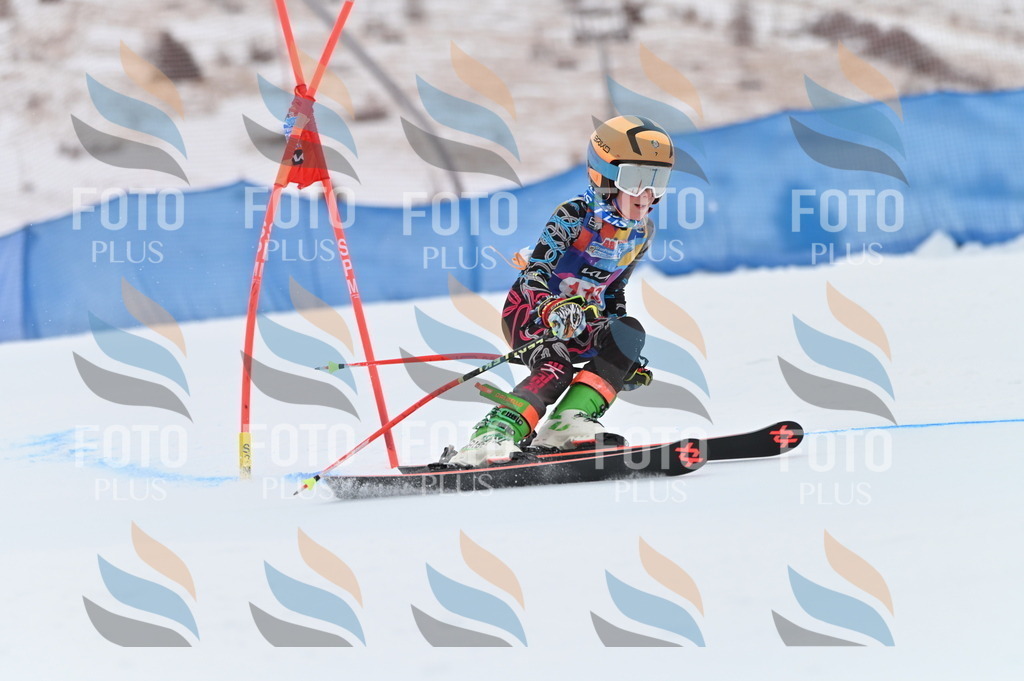 BGV_9809 | holidayphoto