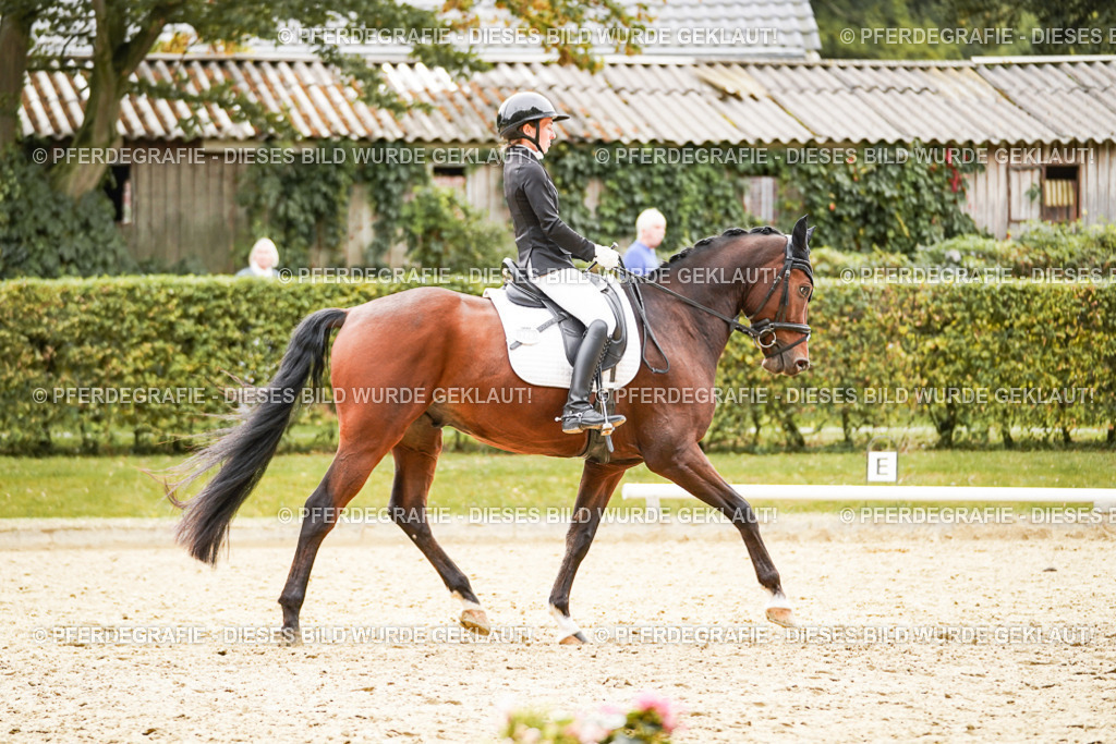 DSC02452 | Pferdegrafie