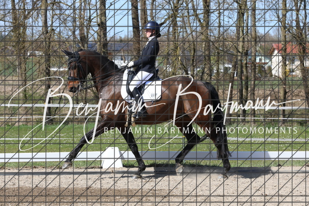 AZ2A4676 | Benjamin Bartmann Photomoments