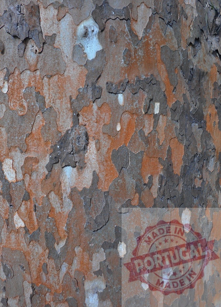 Close-up of Colorful Bark Showing Intricate Patterns and Textures | Close-up view of a tree trunk with peeling bark revealing a mix of orange, brown, and gray colors, creating an abstract natural pattern - Realized with Pictrs.com