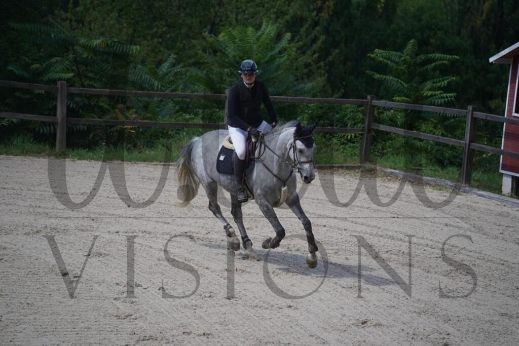 tgbhsonntag (545) | d.tail Visions - Shop - Realisiert mit Pictrs.com