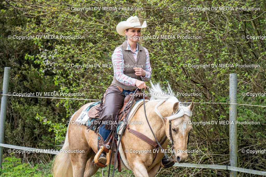 BAL00795 | dv-media-shop - Realisiert mit Pictrs.com