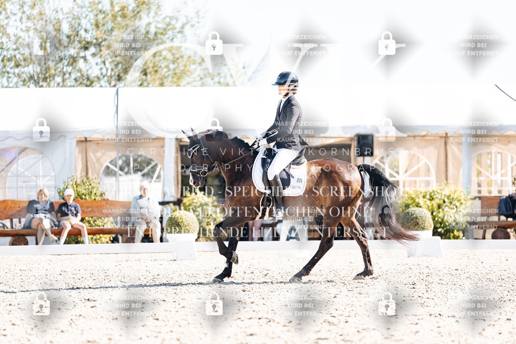 CK909083 | Turnierfotografie Pferdefotografie Trier Rheinland-Pfalz Pferdesport Reitsport Tierfotografie Sportfotografie Pferdevideo Pferdevideografie Equestrianvideography equestrianphotography  - Realisiert mit Pictrs.com
